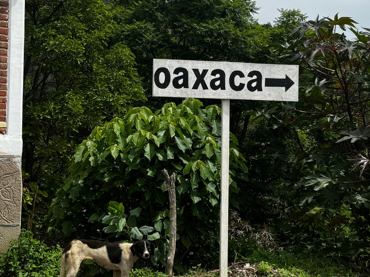 A roadside sign pointing the way to Oaxaca, with a dog resting beneath it.