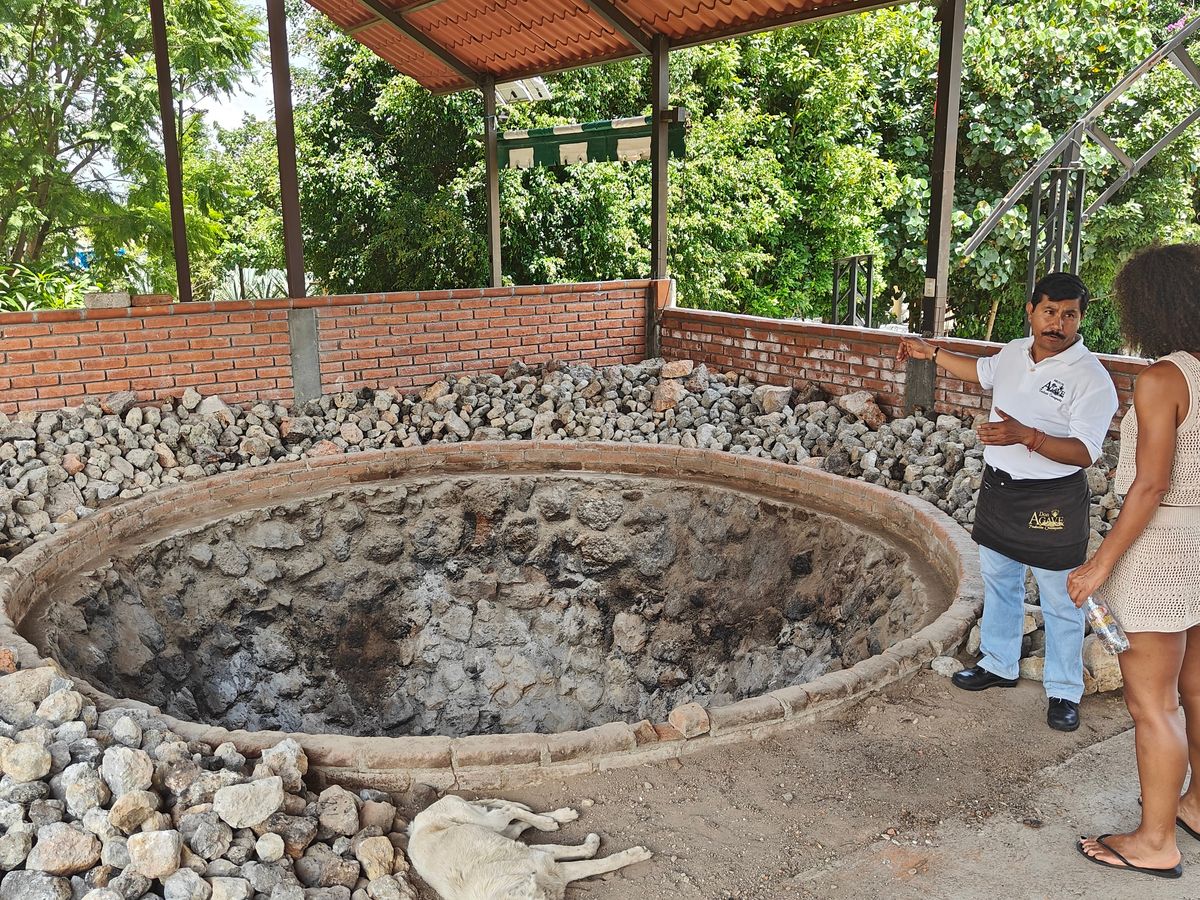 A guide explaining the stone roasting pit at a palenque in Oaxaca.