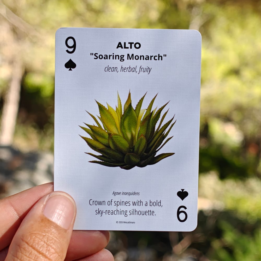A hand holding the 9 of spades, the Alto agave card nicknamed Soaring Monarch, against a soft green background.