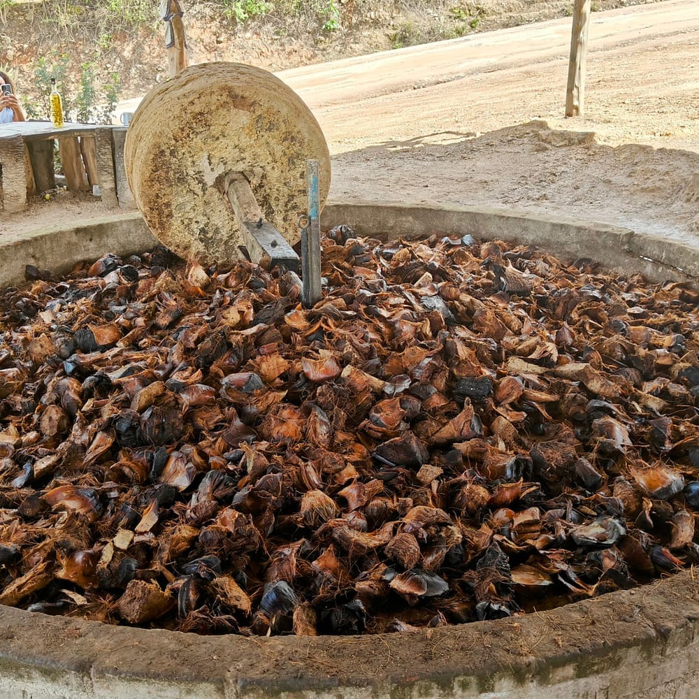 A stone tahona wheel resting on a pit of roasted agave at a palenque in Oaxaca.