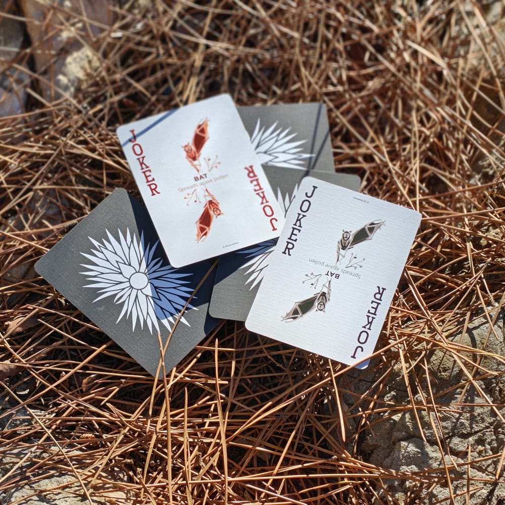The two pollinator jokers and the patterned card backs of the Discovery Deck laid out on pine needles and rock.