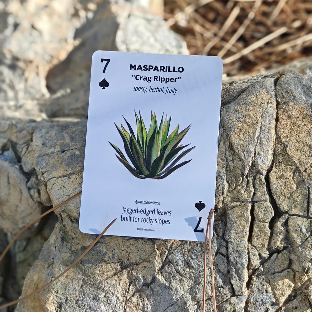 The 7 of spades, the Masparillo agave card nicknamed Crag Ripper, propped against a rock.